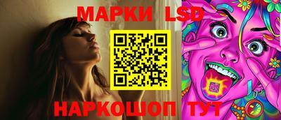 Альфа ПВП Моздок