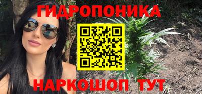Альфа ПВП Моздок