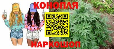 Альфа ПВП Моздок