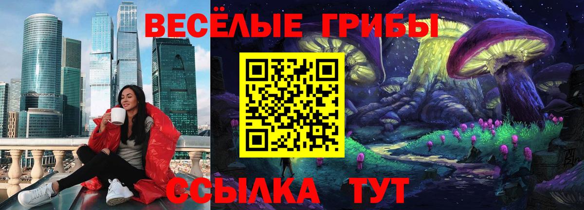 Псилоцибиновые грибы Cubensis Городец